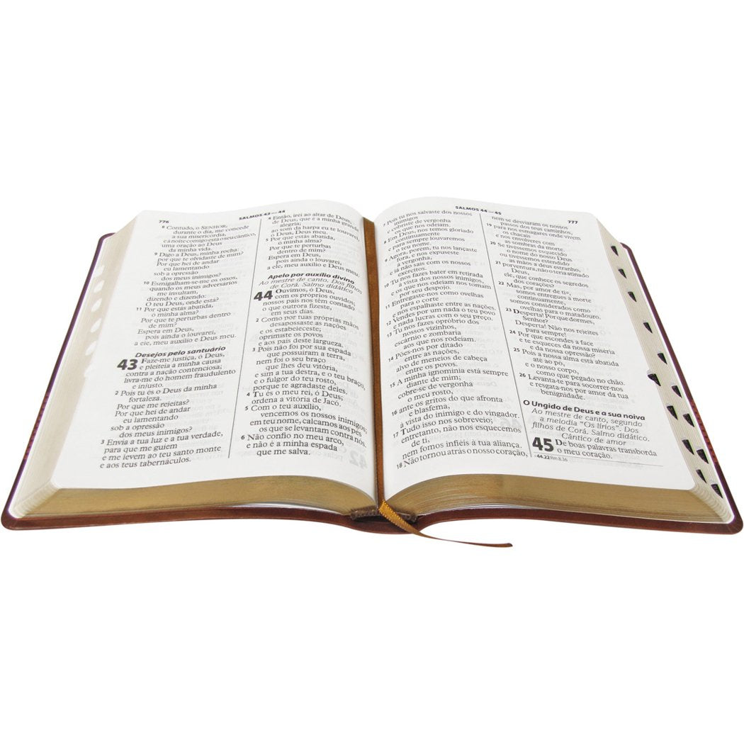 BIBLIA SAGRADA ARA LETRA GIGANTE: ALMEIDA REVISTA E ATUALIZADA (ARA)