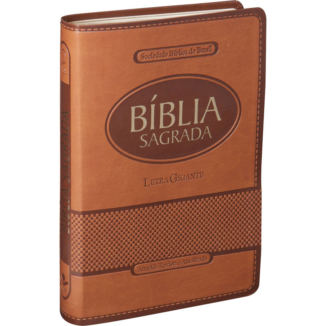 BIBLIA SAGRADA ARA LETRA GIGANTE: ALMEIDA REVISTA E ATUALIZADA (ARA)